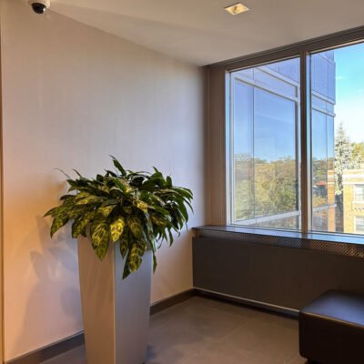 Corner Location North Toronto RMT Clinic 3080 Yonge Street Corner Location North Toronto RMT Clinic 3080 Yonge Street